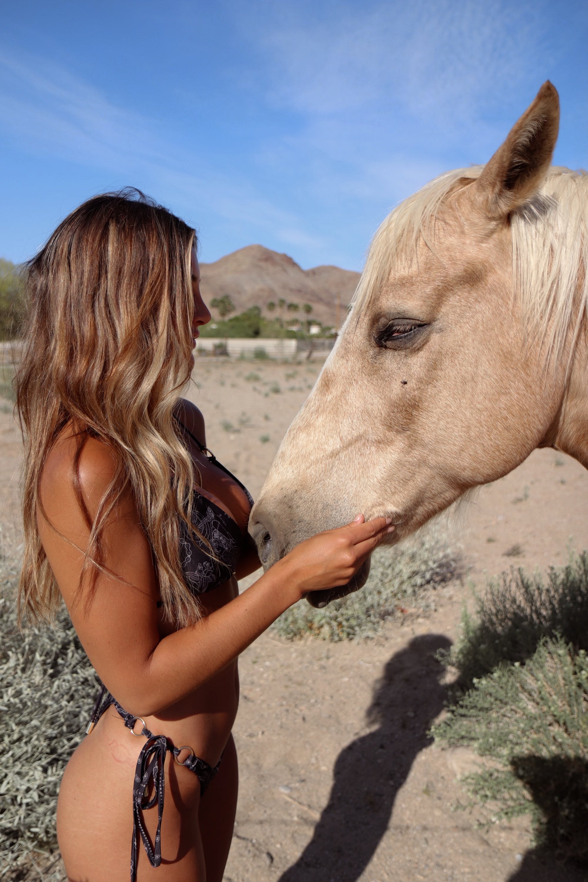 "CALIFORNIA" Bikini Bottom in GOLD RUSH - 50% OFF